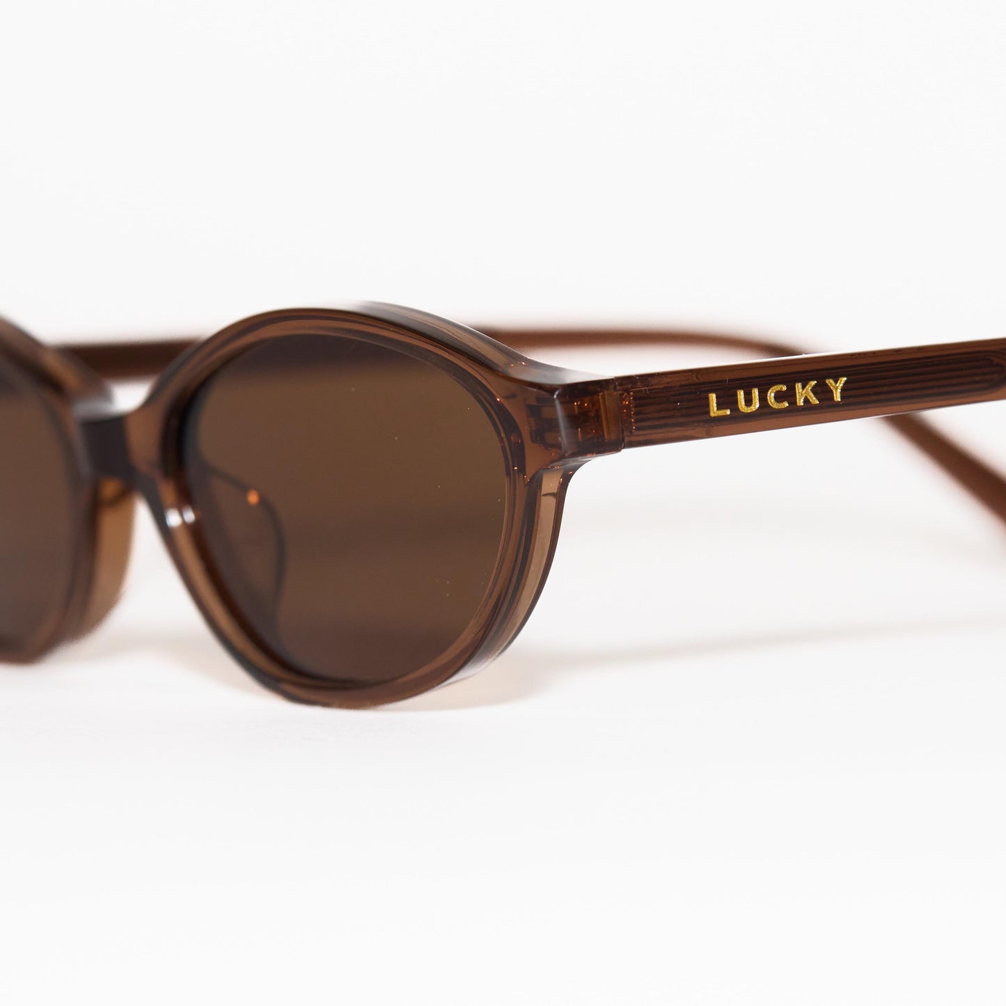 SUERTE | SHEER BROWN